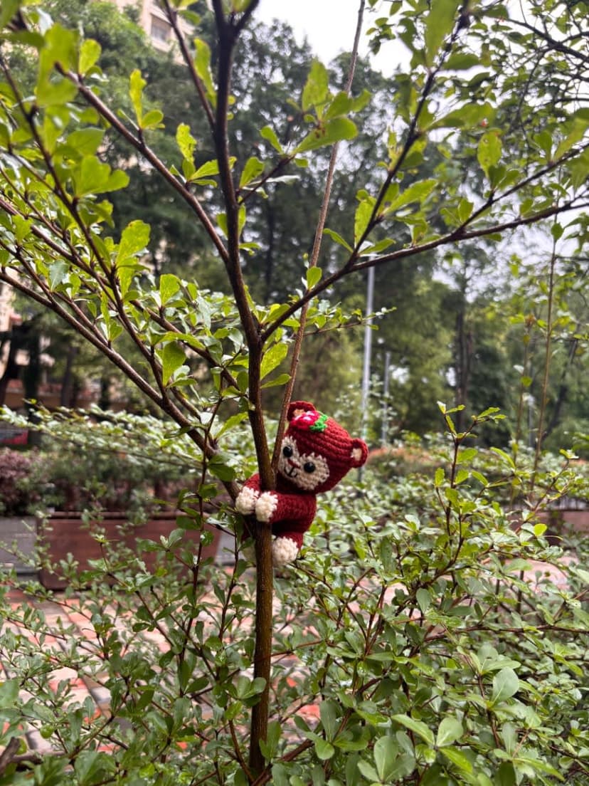 Handmade Crochet Monkey Hanging — handmade custom crochet gift, photo 5