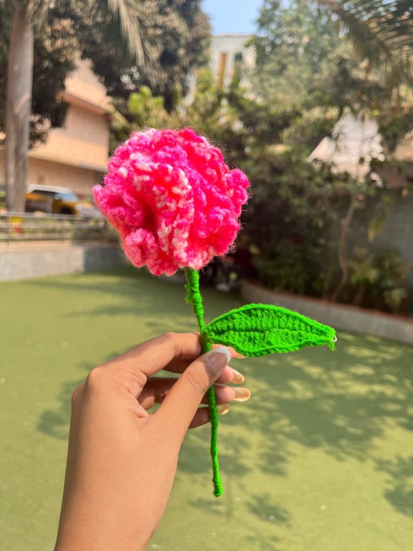 Handmade Crochet Carnation – Forever Flower — handmade crochet flower by Nidsscrochet, Mumbai